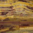 Polished, Chert-Replaced Domal Stromatolite Slab - Australia #132392-1